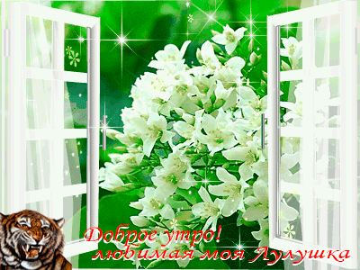 Доброе утро