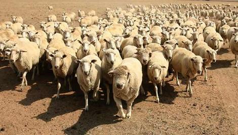 post-43620-1299012165