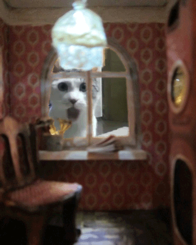 bhu