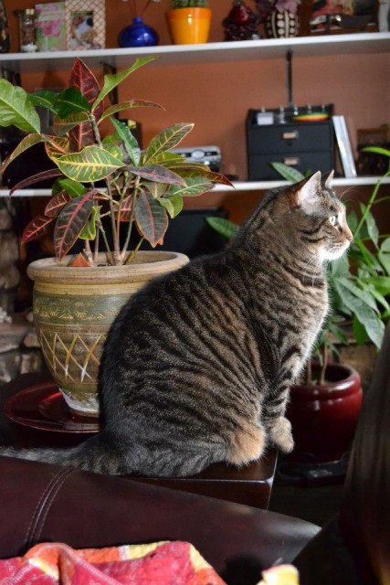 306693_4175906708493_1875409477_n