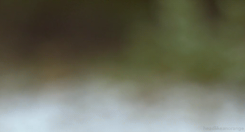 gif-anime-nature-14