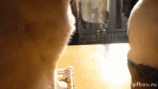 Который час