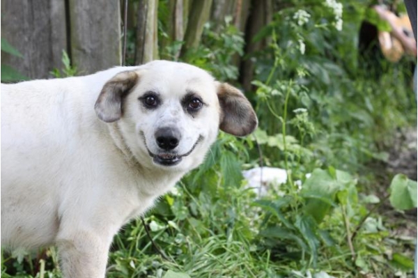 0a13d629f882c5af528459537789638f