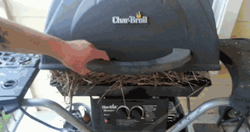 гифки-песочница-674116