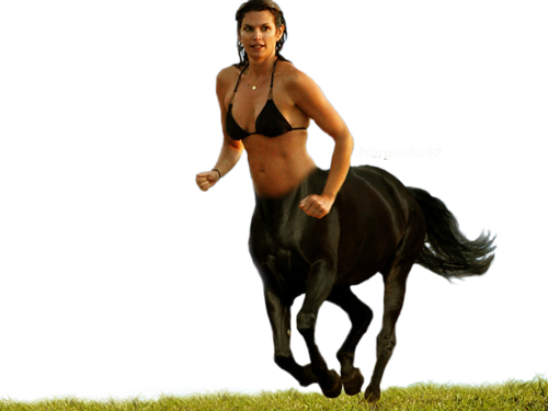 загруженное (12)