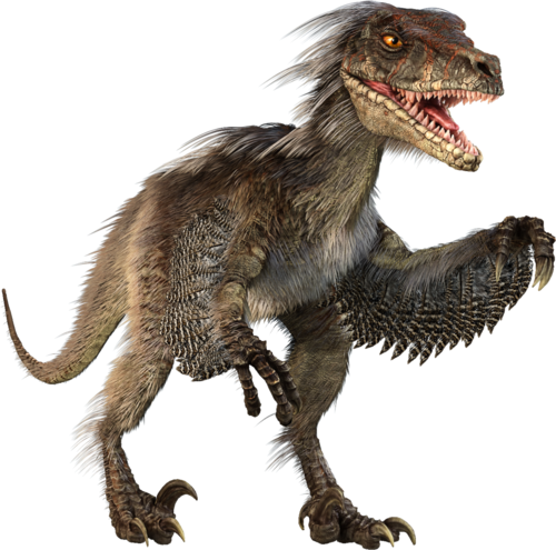 Velicoraptor-Dinosaur_1