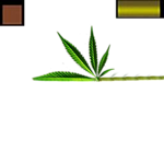 0_c5aca_ecc48e57_S