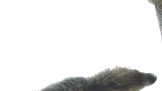 1368766009_674457638