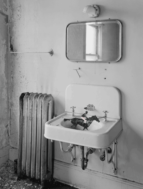 tumblr_mmwglikCvU1r064gzo1_500