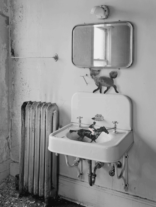 tumblr_mmwglikCvU1r064gzo1_500_yapfiles