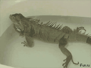 уединённость в ванной