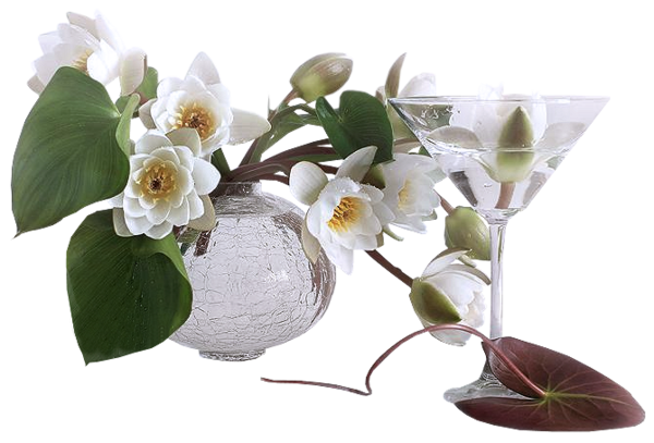Цветы