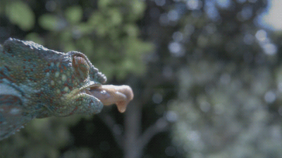 tumblr_mmtc1nx3lm1s2xab7o1_400