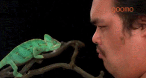 dca28385a75acbab9557bf23246