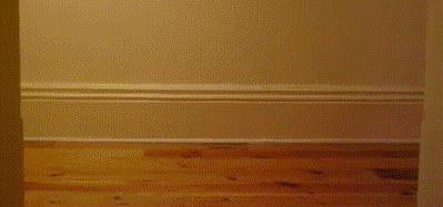 котэ-гифки-711378