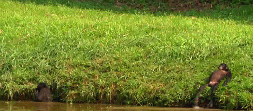 e20275789767f4c390636959cc8