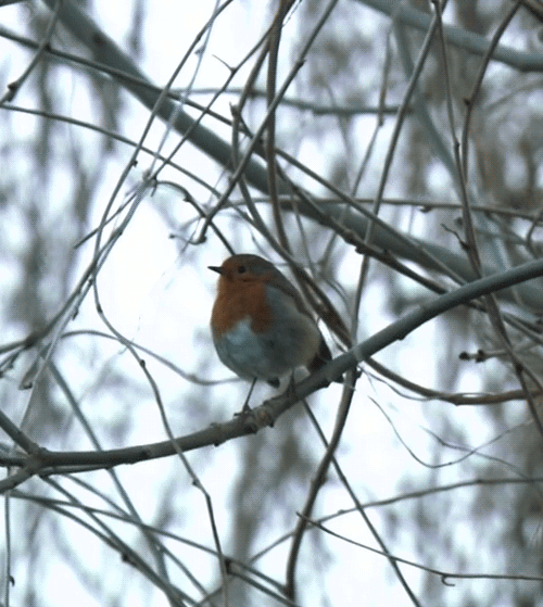 1369638879_982526633