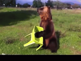 1369630287_1119603037