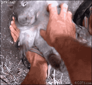 1369977267_1093219754