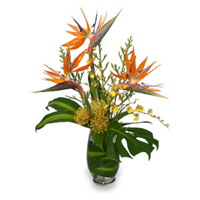 Tropical-Flowers--Celebration-Advisor---Wedding-and-Party-N-normal