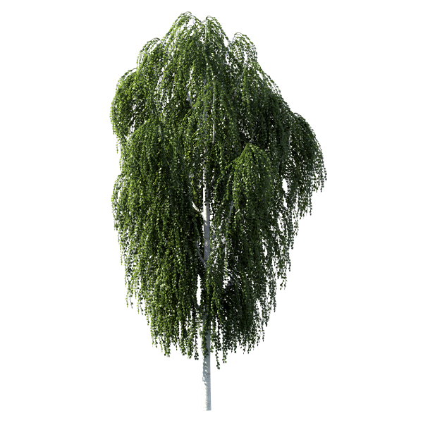 beryozka_yapfiles.ru