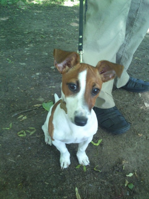 DSC_0021 — копия