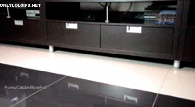 tumblr_moasb2gkuo1r3gb3zo1_400