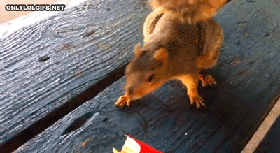 1371291309_1045881622