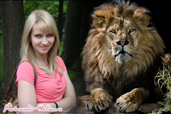 photoramki-online (15)