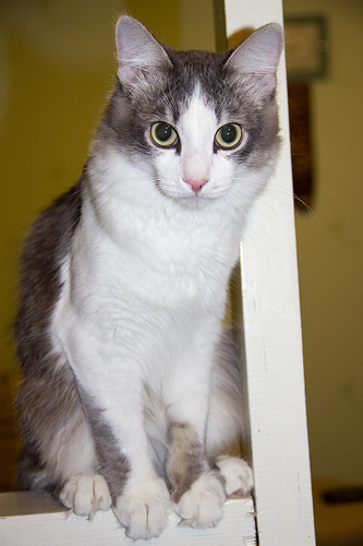 8856259480_5f8d53332a