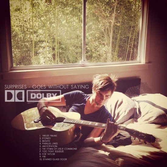 Surprises - Goes Without Saying (2013)