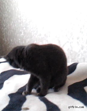 1370594447_376987866