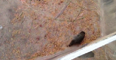 1372227591_2101506200