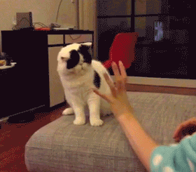 1372219543_1977808886