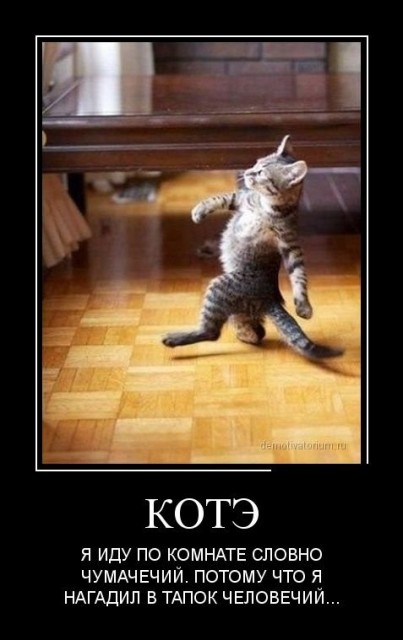 demotivatory_na_chetverg_30_foto_4