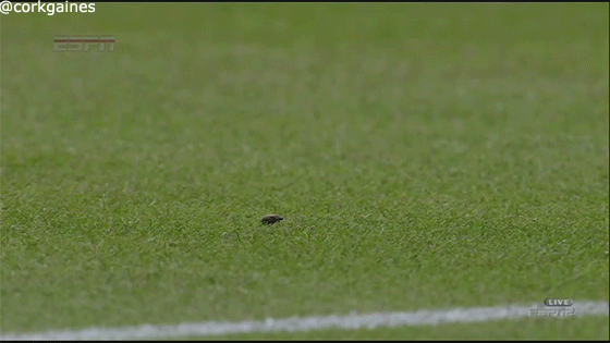 9182132587_6f73dedb6f_o