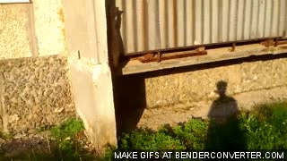 Вернулся домой