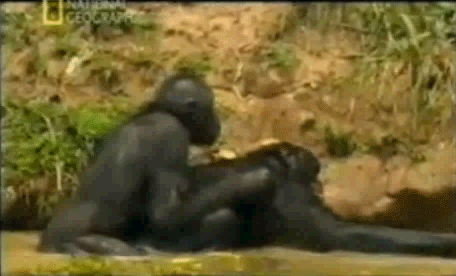 0_1250cb_875270c_orig