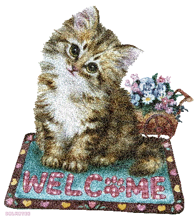 47888018_2059441_dalmatek329pu6