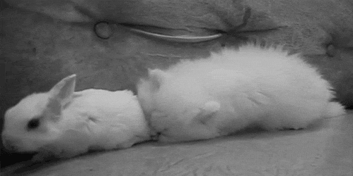 tumblr_m0nb23ZuZ31qjgr1bo1_500