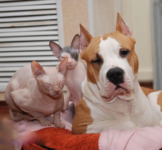 163244_105840709490124_3743384_n