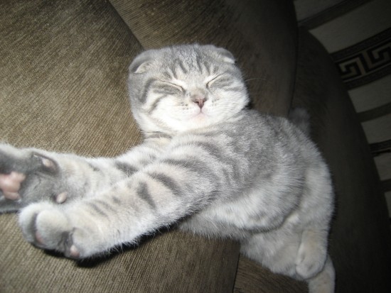 Изображение 045