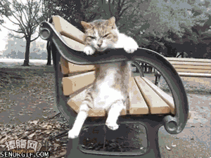 1367576792_800846401