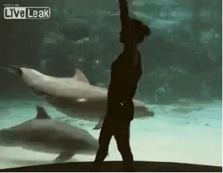 1374527652_616431294