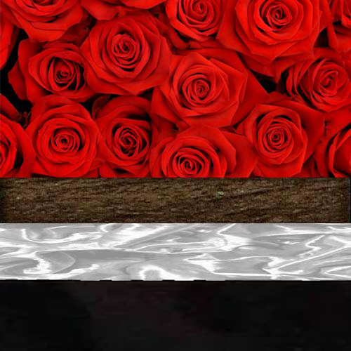 РАСТЕНИЕ красное