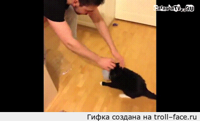 1375340364_1657576292