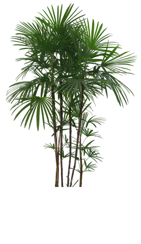 0_77ce4_a88b282d_XLeqw