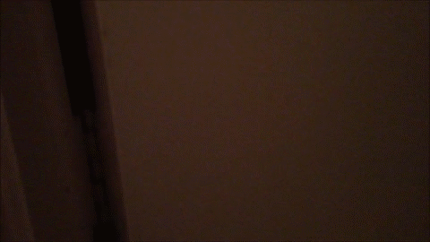 гифки-котэ-821813