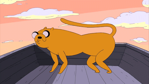 adventure-time-фэндомы-adventure-time-гифки-Jake-635011