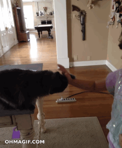 1376155578_1759809205